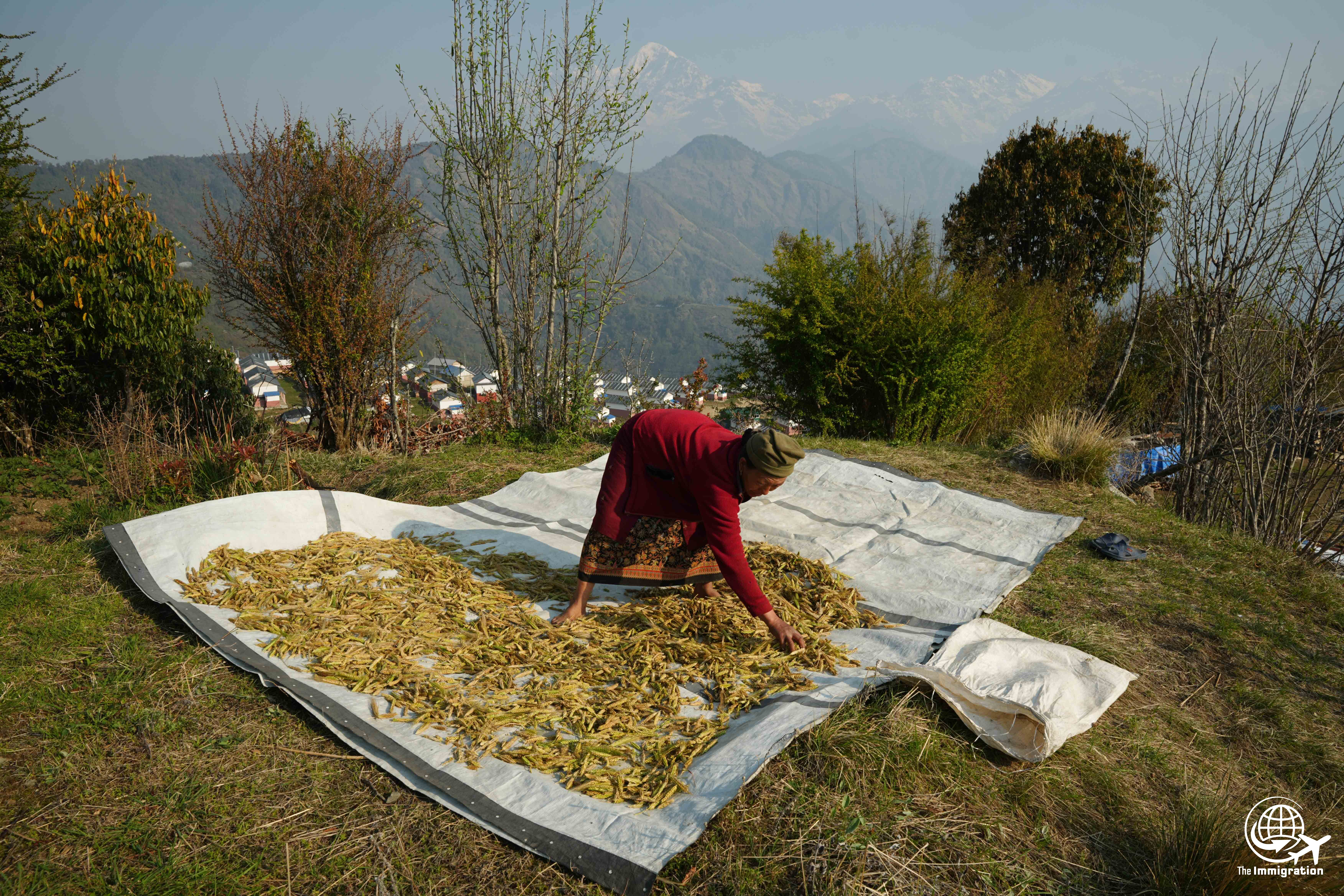 Laprak_Gorkha_DSC07447