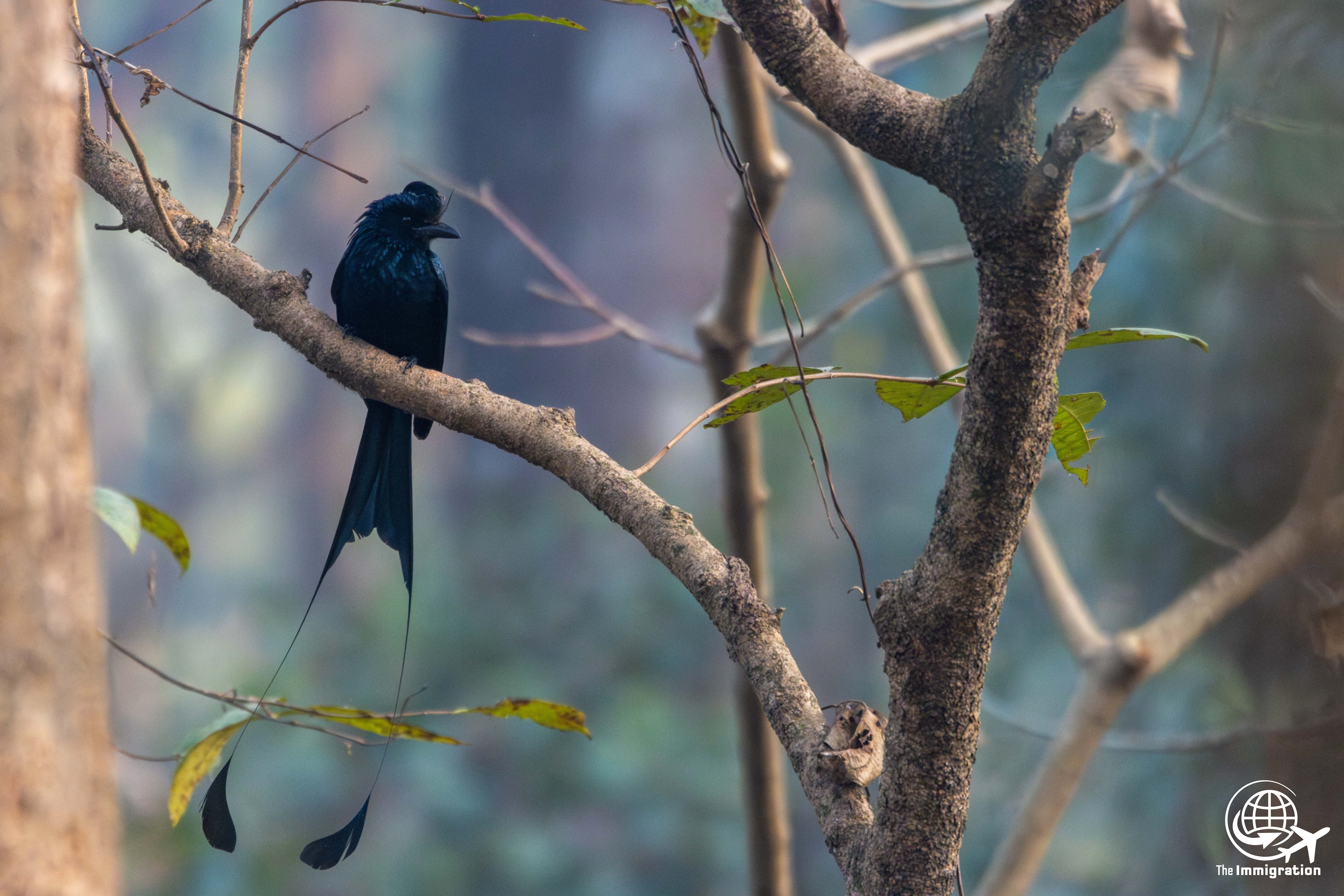 Wild Life_Hetauda_-956