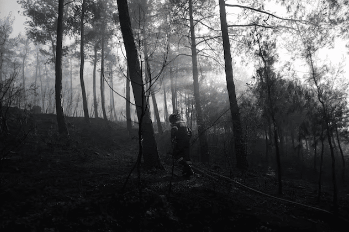 उत्तरी ग्रिसमा डढेलोमा परेर २ जनाको मृत्यु