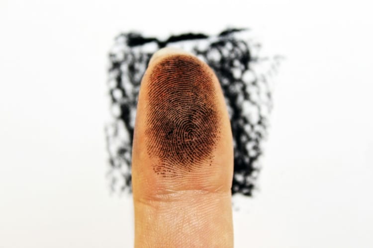 fingerprint_Wt2DQefpND